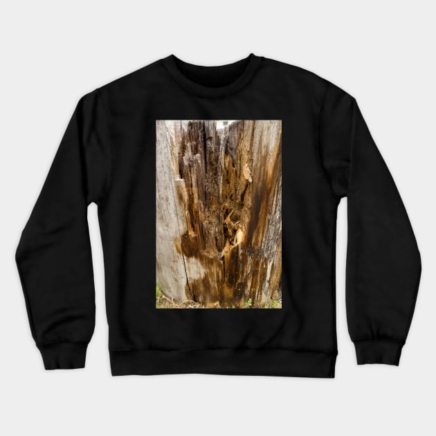 Wood texture of rotten tree trunk, close-up, texture, background Crewneck Sweatshirt by NxtArt